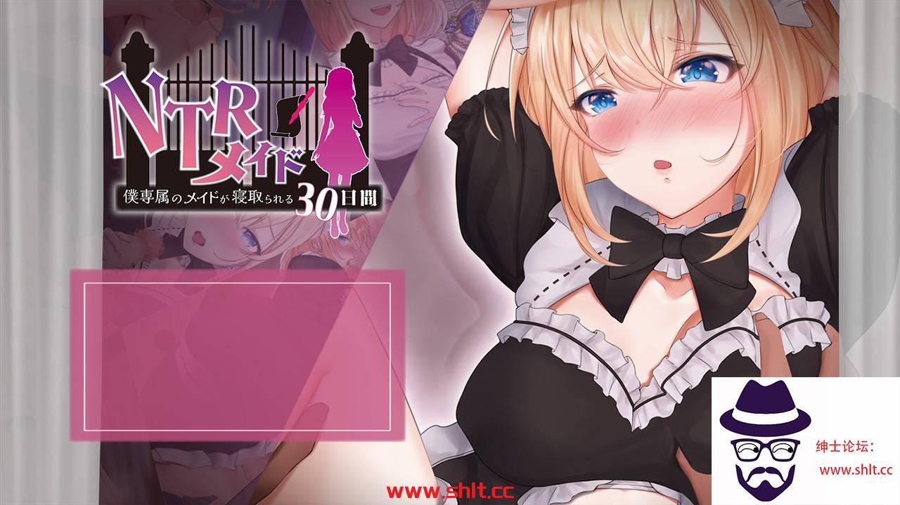 【日系RPG/AIGPT汉化】NRT女仆1.0【PC+安卓/2G】-绅士论坛